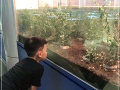 -上海昆虫博物馆