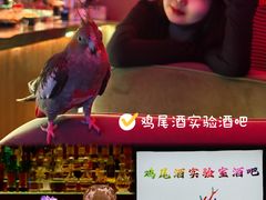 -鸡尾酒实验室酒吧(隆礼路店)