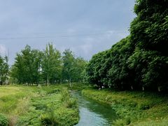 -两河城市森林公园