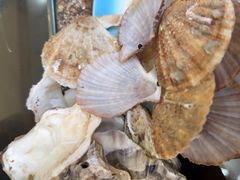 -老家黄墩小错鸡·活海鲜