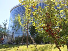 -回龙观体育文化公园