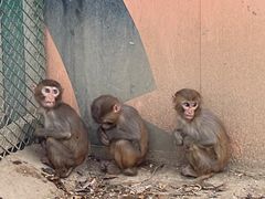 -水上乐园·欢乐世界