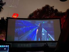 -枫花园汽车电影院(朝阳公园店)