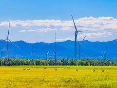 -野鸭湖国家湿地公园