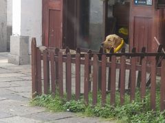 -衣裳街历史文化街区
