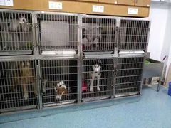 -佳雯宠物医院(四明中路分院)