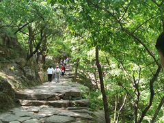 -北京鹫峰国家森林公园