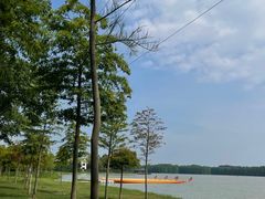 -上海海湾国家森林公园