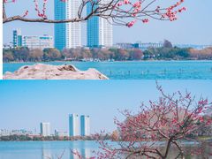 -玄武湖景区