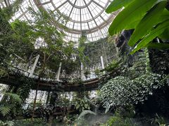 -昆明植物园