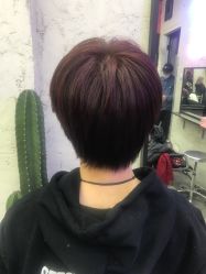 -SALON V