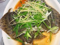 清蒸多宝鱼-粤·向群饭店(龙津东路总店)