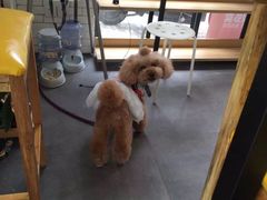 -沙青(江场二路店)