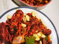 -杨氏青龙虾·羊蝎子(托乐嘉店)