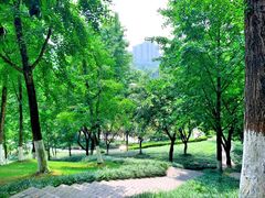 -龙头寺公园