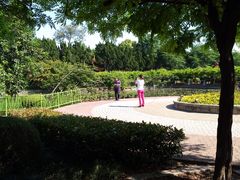 -嘉定紫藤园