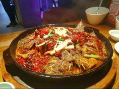 -老板恋上鱼(高新万达店)