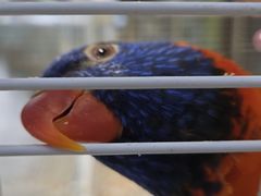 -宁波儿童公园(鄞州区)