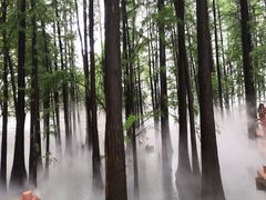 -东湖落雁景区