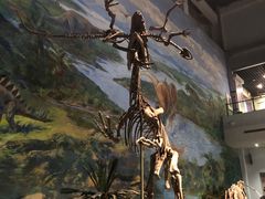 -自贡恐龙博物馆