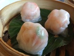 -金汇酒楼(中山东区店)