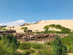 -玉龙沙湖景区