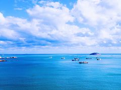 -枸杞岛