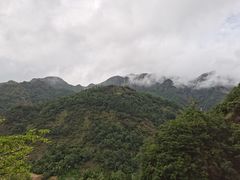 -雁荡山三折瀑景区