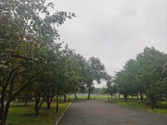 -太阳宫公园
