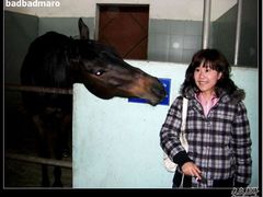 -松声马术俱乐部