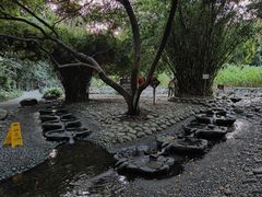 -成都市活水公园