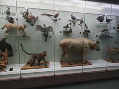 -国家自然博物馆