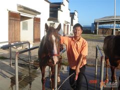 -松声马术俱乐部