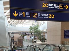 -上海浦东国际机场-T2航站楼