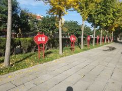 -兴隆文化园景区-兖州博物馆