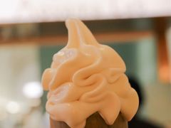 -青山研究所Aoyama Lab