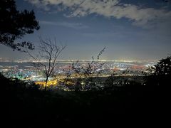 -紫金山山顶公园