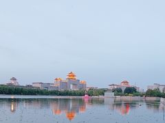 -莲花池公园
