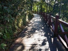 -广州市石门国家森林公园
