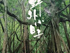 -中国科学院西双版纳热带植物园