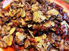 -柴窝堡22号辣子鸡·传承新疆菜