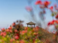 -大围山国家森林公园