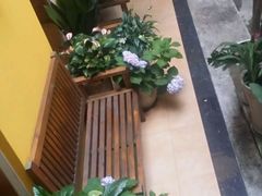 -柳湖小筑青年旅舍