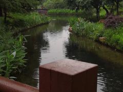 -海珠湖公园