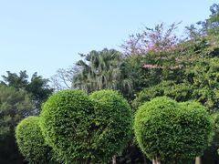 -南宁南湖公园