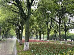 -上海鲜花港