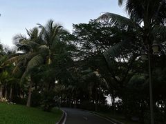 -深圳湾公园(南山区)