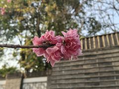 -好福记饭店(红梅公园店)