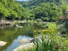 -武汉姚家山旅游景区