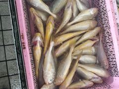 -南沙十九涌渔人码头-南门